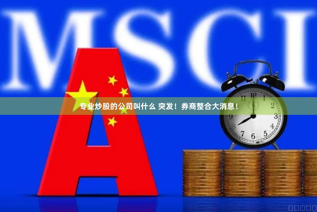 专业炒股的公司叫什么 突发！券商整合大消息！